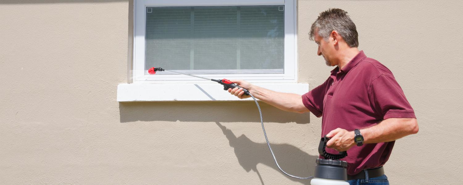 banner of What You Need To Know About DIY Pest Removal